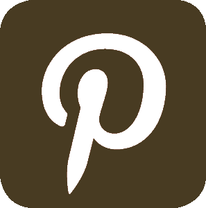 Icona di Pinterest