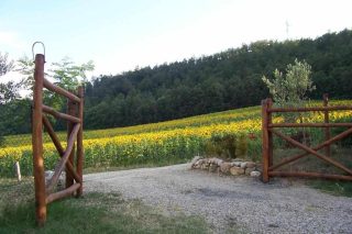 The gate towards the field and the woods