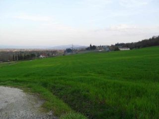 The large field between our house and the ancient Pieve di Micciano
