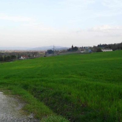 L'enorme campo che separa la nostra casa dall'antica Pieve di Micciano