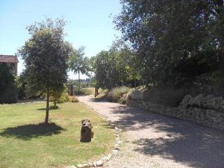 The garden reserved for the apartment