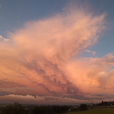 Un cielo bellissimo visto dal nostro uliveto