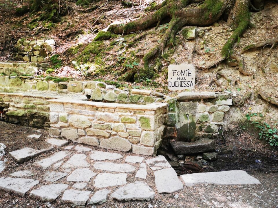 The Fonte della Duchessa spring, along the forest trail – Camaldoli, Casentino