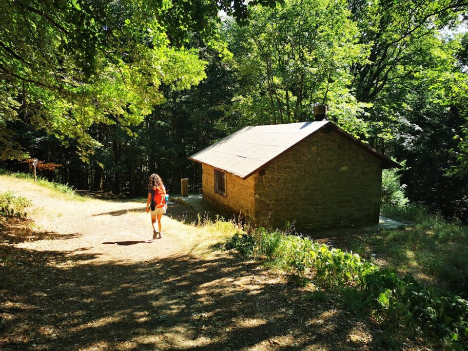 Walking towards the Rifugio Cotozzo hut – Camaldoli, Casentino