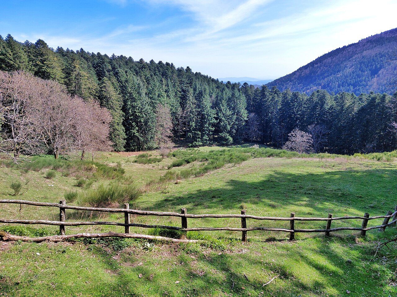 Prato e foresta intorno all’Eremo di Camaldoli