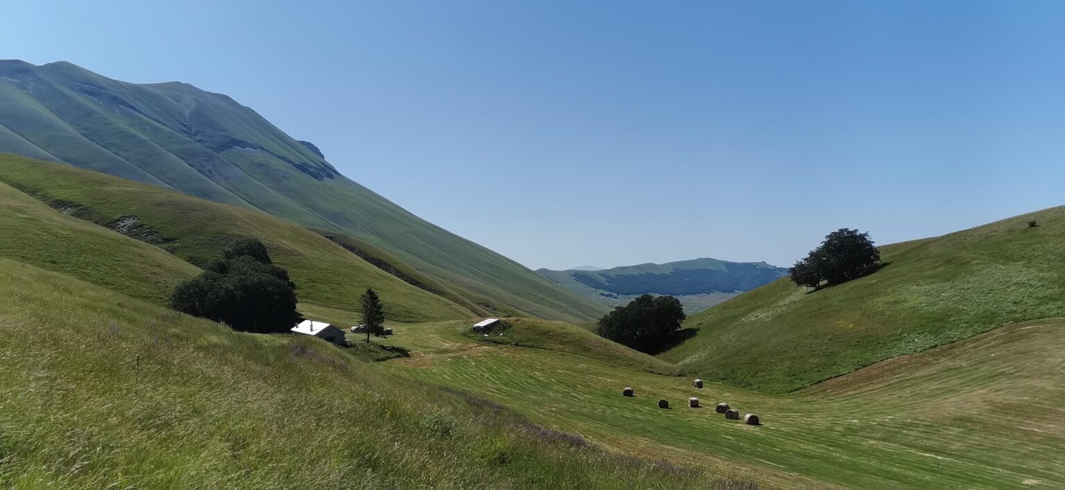 The green pastures above Castelluccio, with hay bales – Castelluccio di Norcia