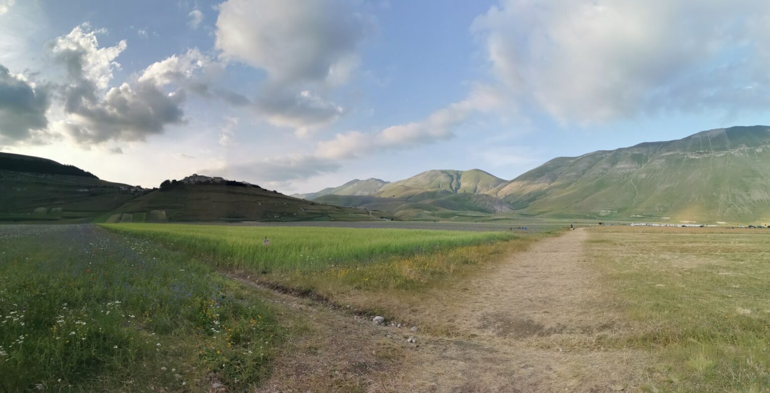 The fields of the Pian Grande at sunset – Castelluccio di Norcia