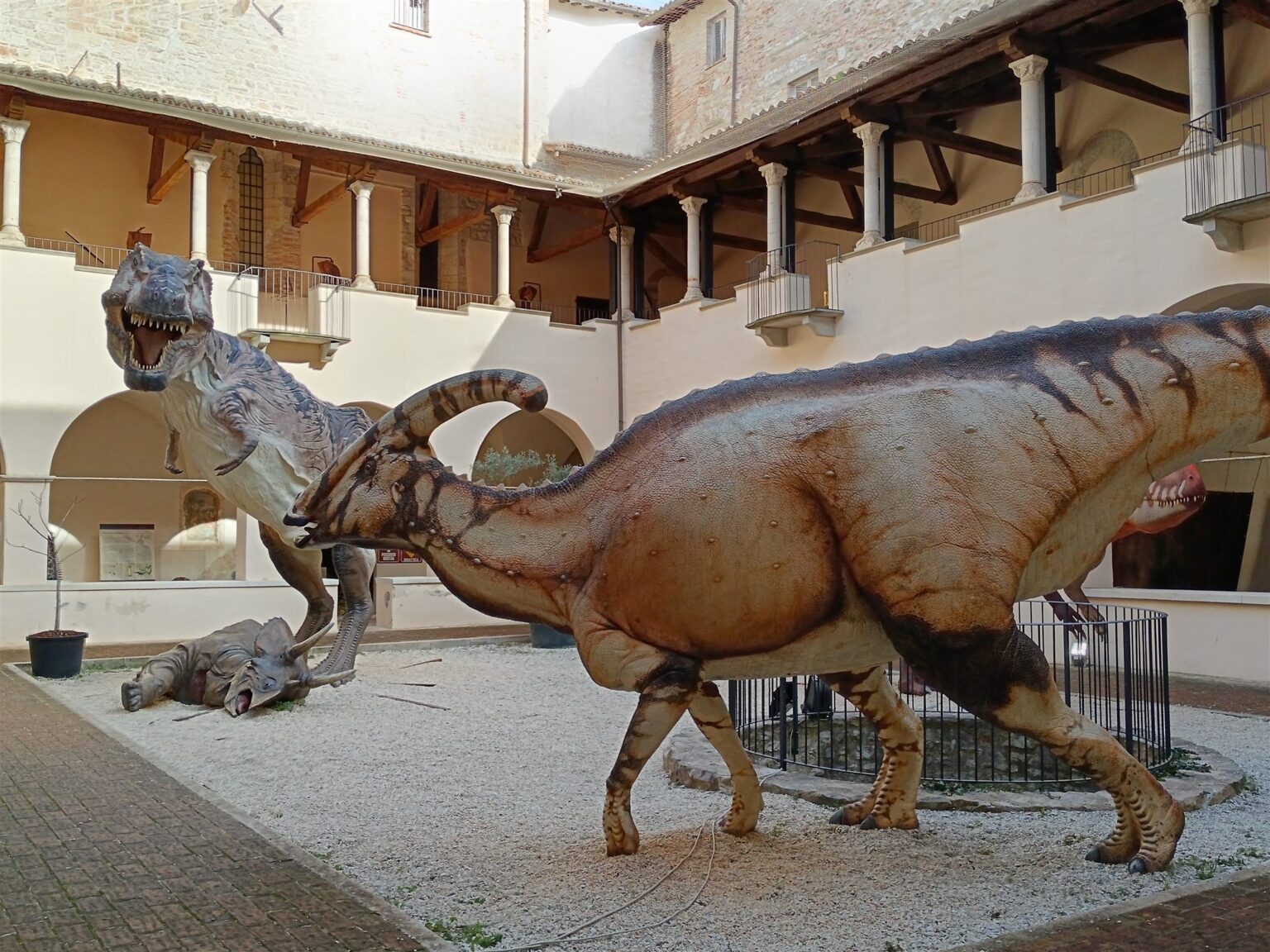 Dinosauri a grandezza naturale nel chiostro del museo di Gubbio