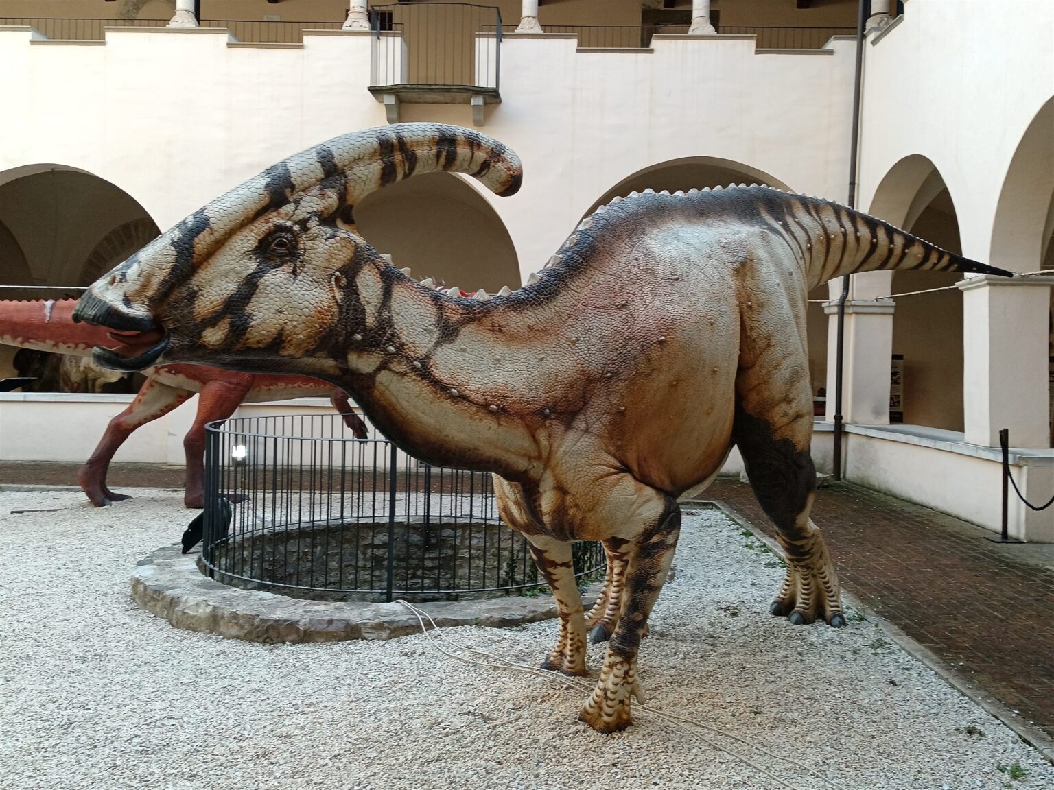 Ricostruzione di un dinosauro nel museo di Gubbio