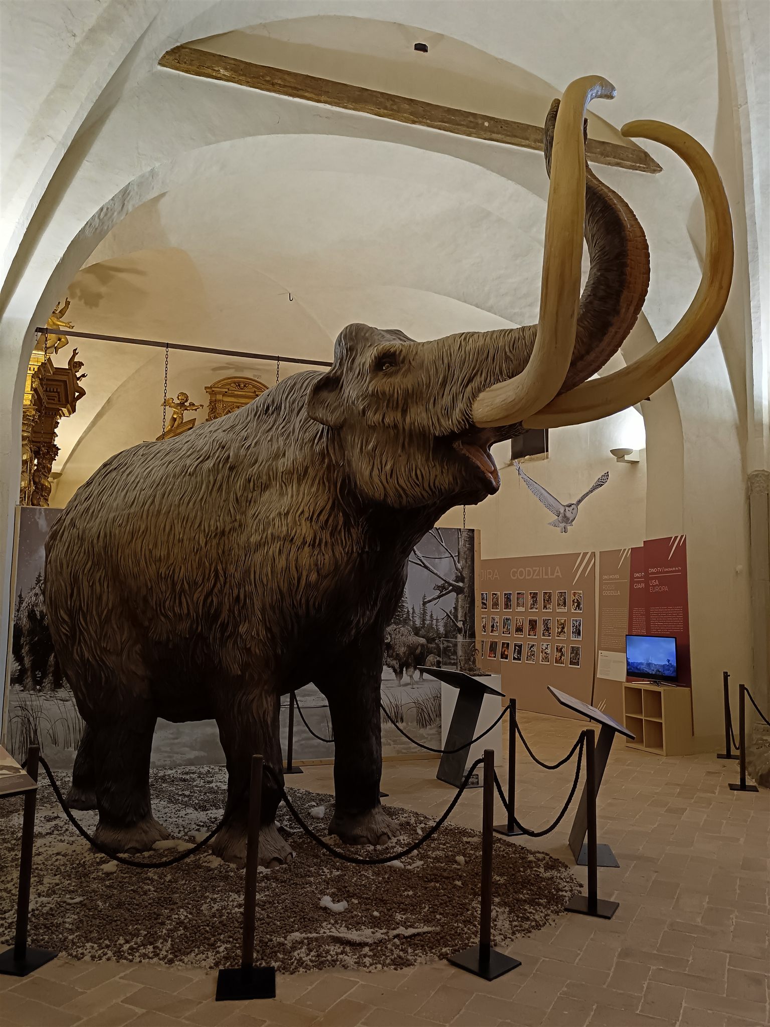 Ricostruzione di un mammut nel museo di Gubbio
